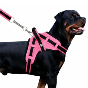 Guia Para Cães Coleira Peitoral Com Alça Reforçado Pit Bull